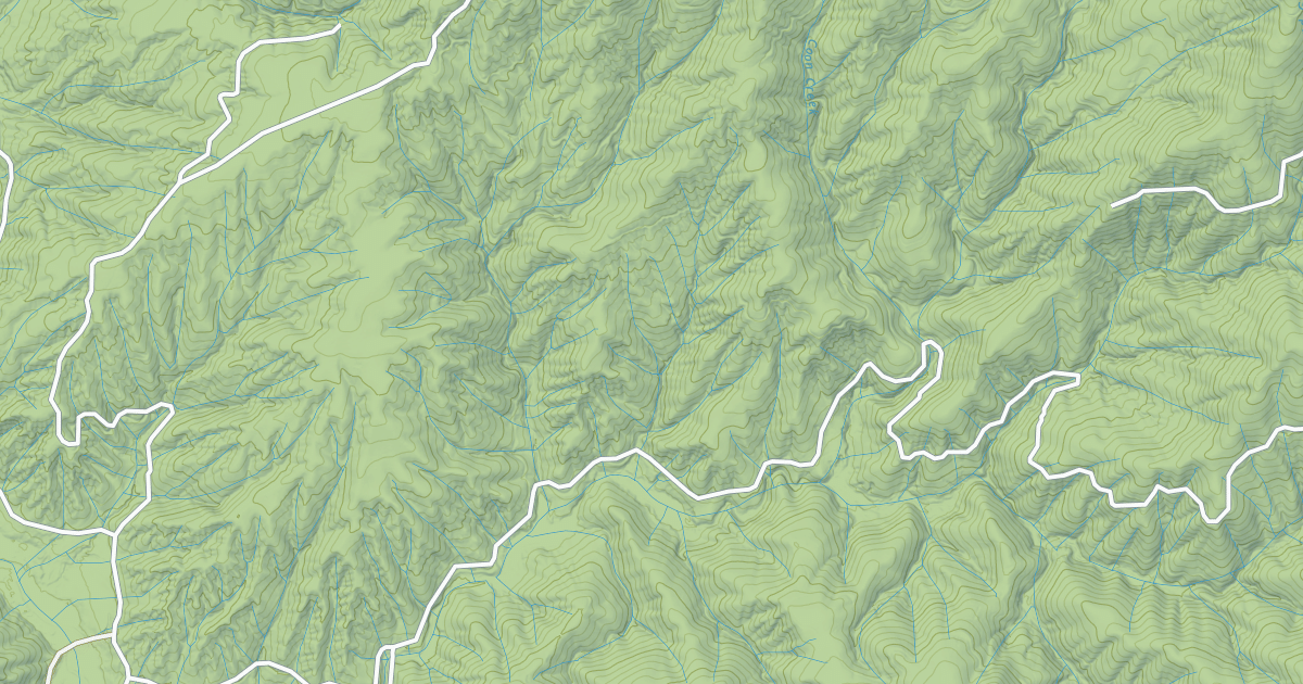 Map preview of COON CREEK LOOP