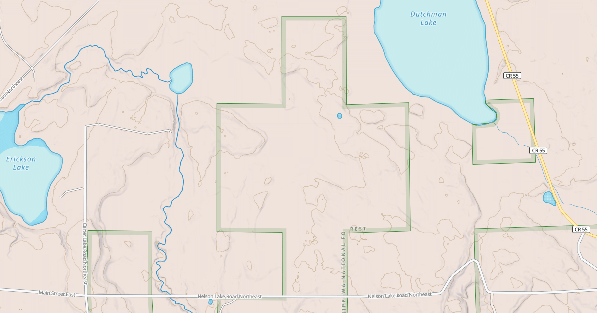 Map preview of NELSON LAKE SPUR C