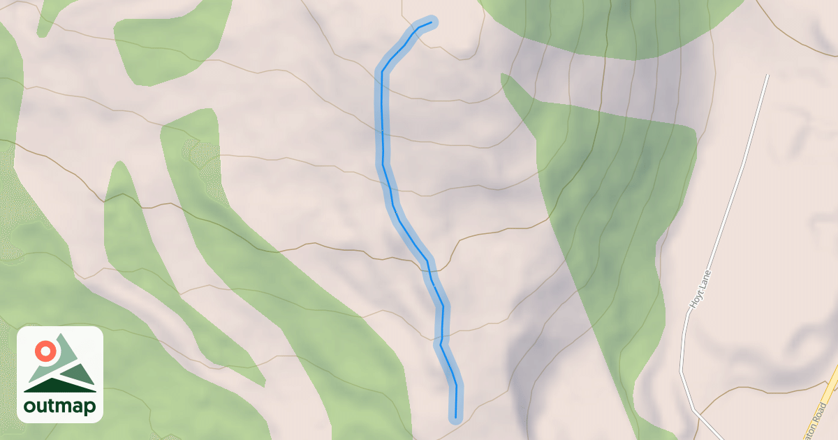 Map of Pine Cone
