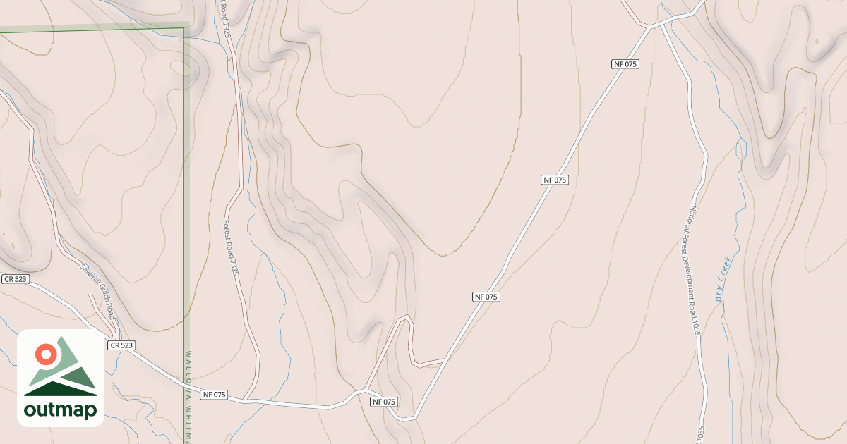 Map of USFS National Forest System Roads {5915FCFD-D761-4BB5-B5E5-71E1317B16F5}