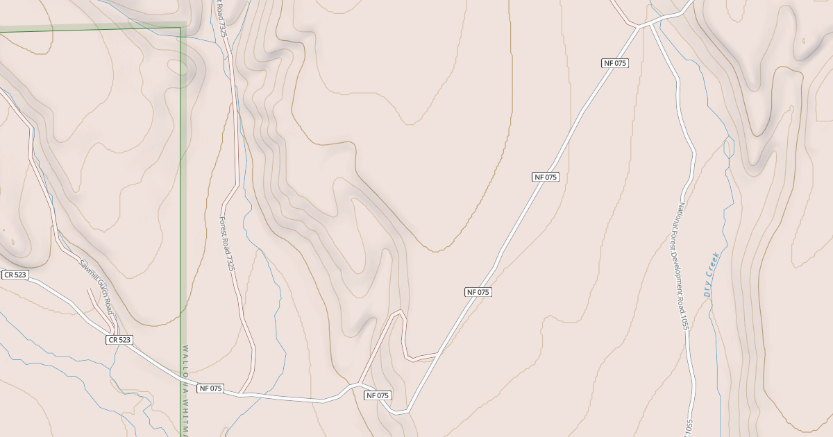 Map preview of USFS National Forest System Roads {5915FCFD-D761-4BB5-B5E5-71E1317B16F5}
