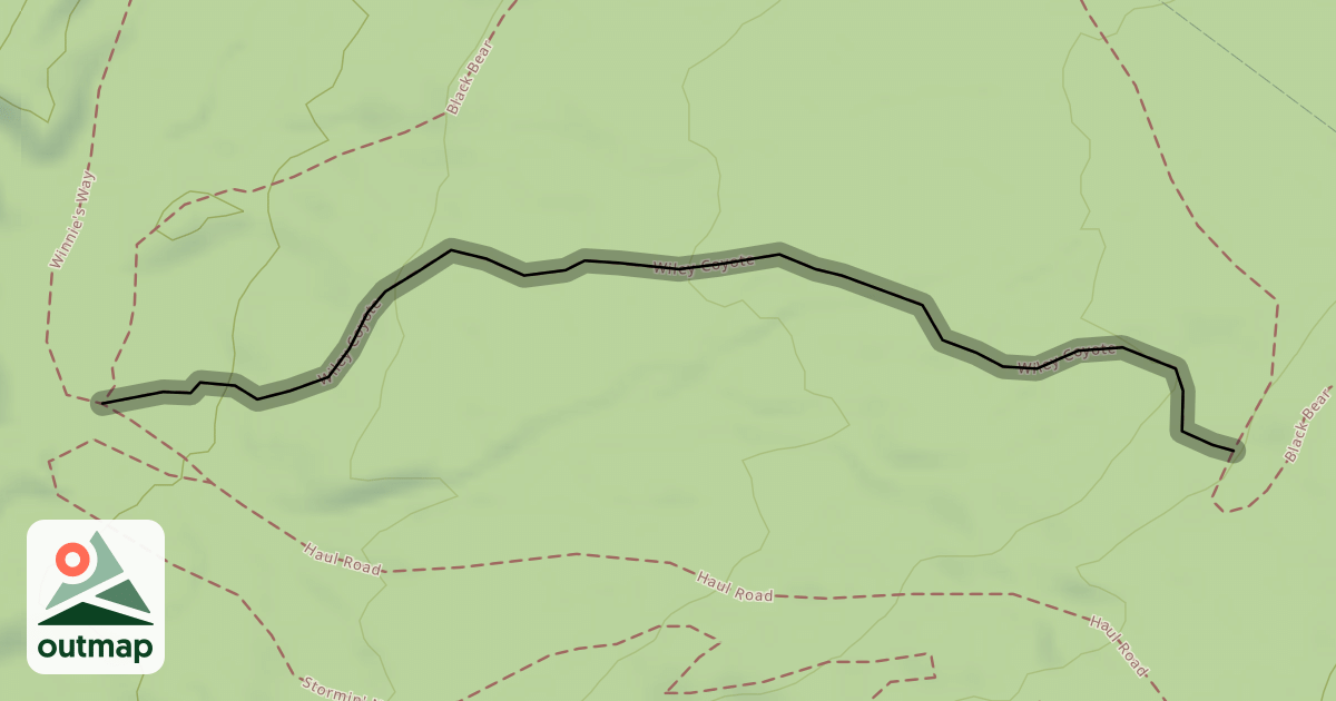 Map of Wiley Coyote