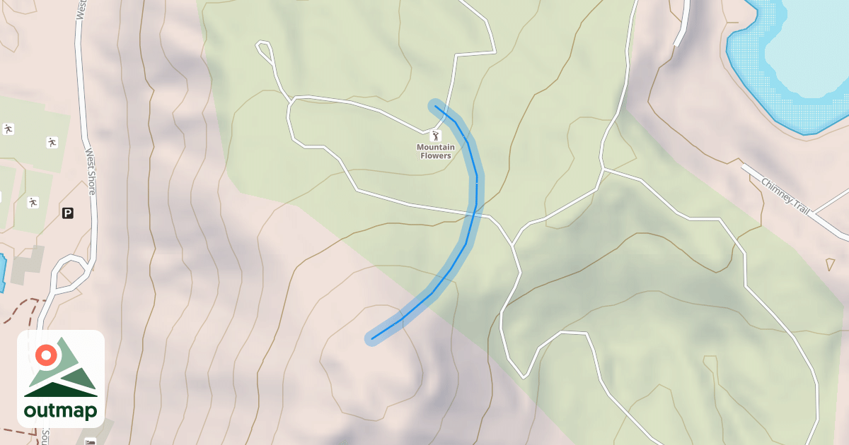Map of Forget-Me-Not
