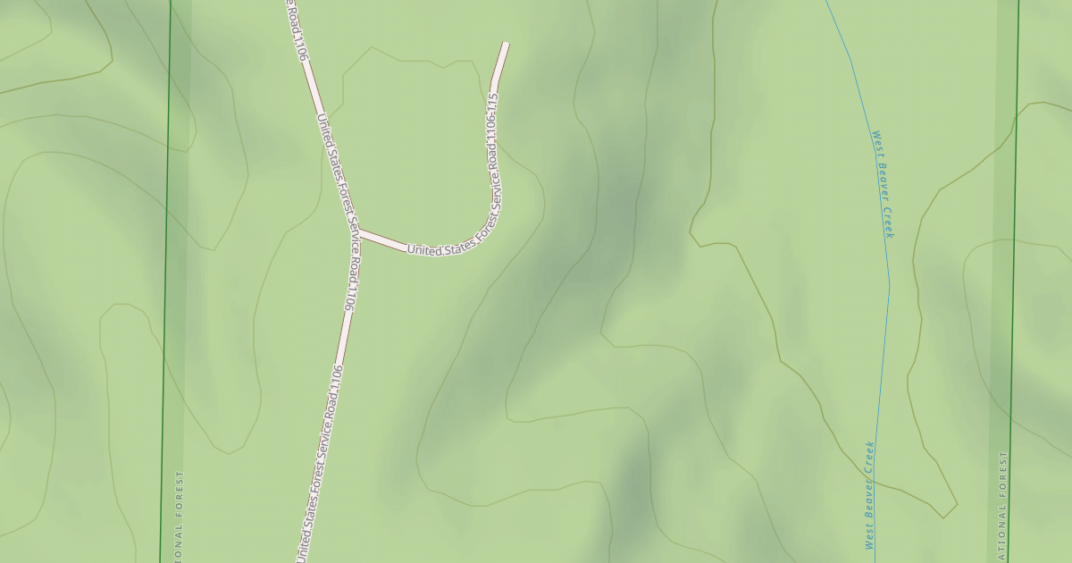 Map preview of USFS National Forest System Roads {378355DD-65B3-4F9B-AAB3-368BB090C118}