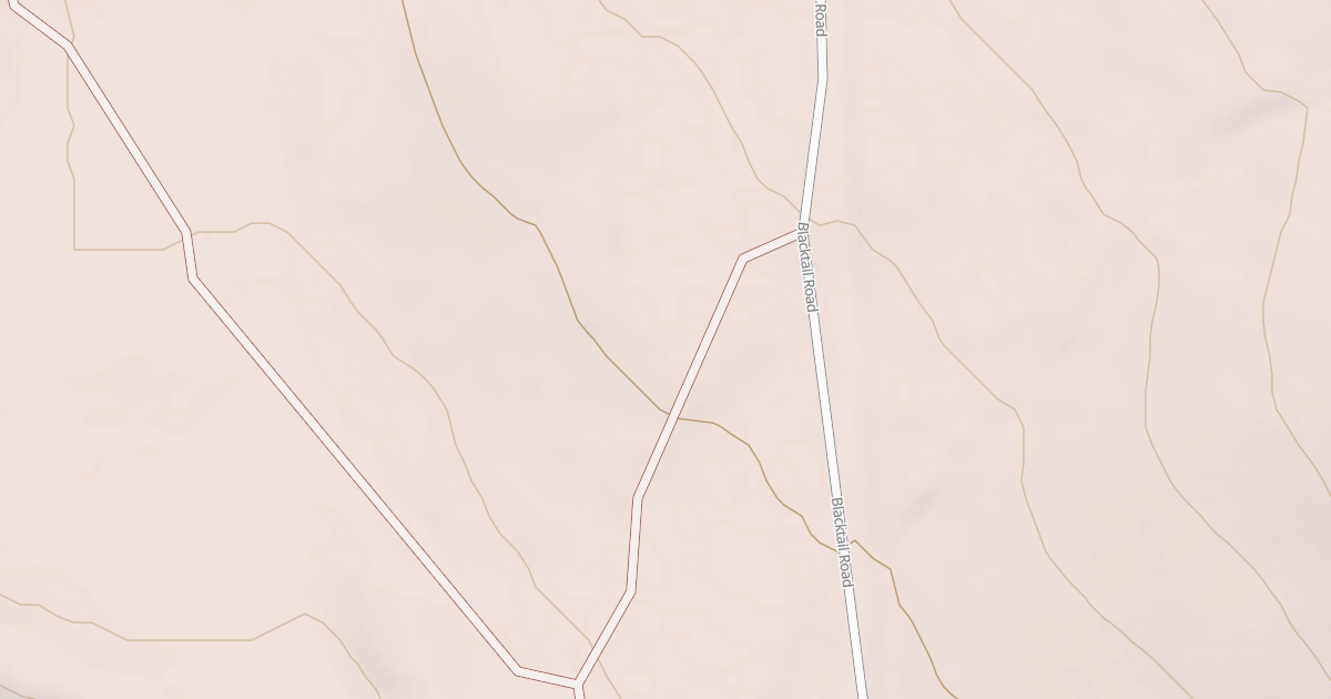 Map preview of BLM National GTLF Public Motorized Roads 5d76c380-367e-41f9-a2c8-579e80d5c473
