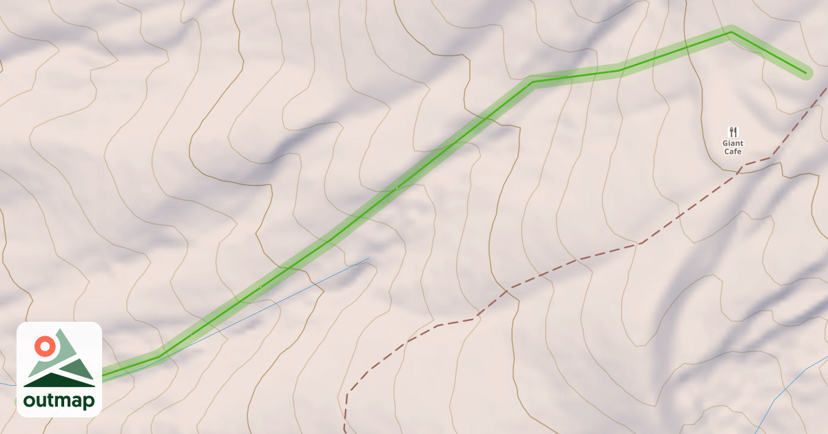 Map of Why Not