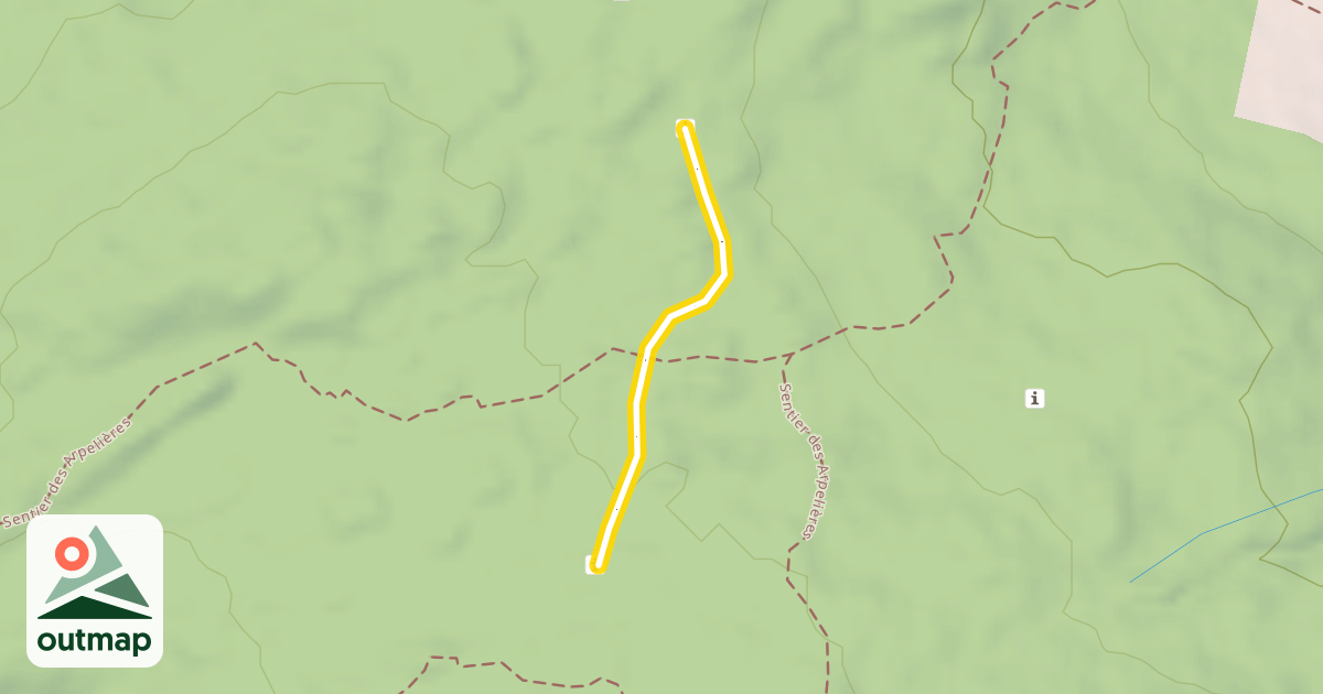 Map of 9 - 19