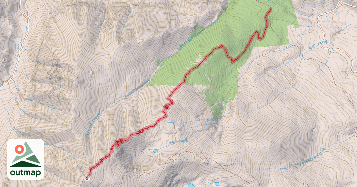 Map of North Mount Elbert Trail