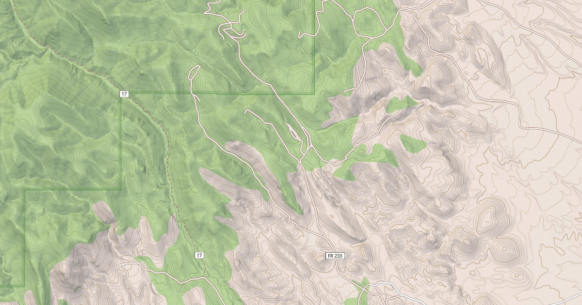 Map preview of USFS National Forest System Roads {0FC8E800-B2FA-4032-99D0-1825F1C163BD}