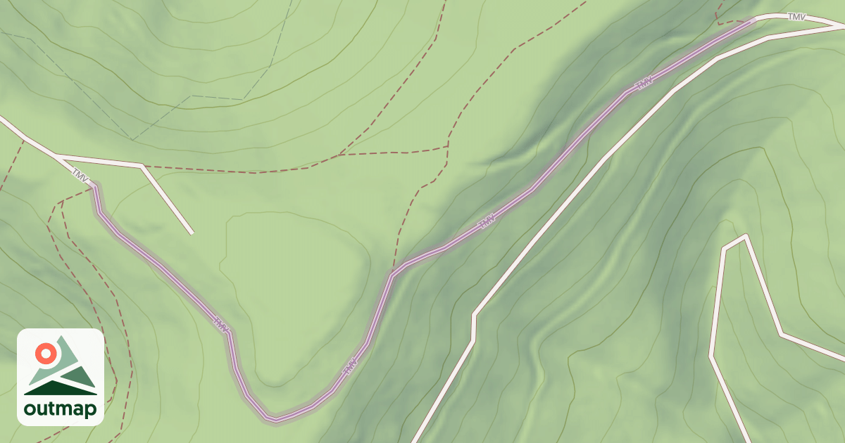 Map of TMV