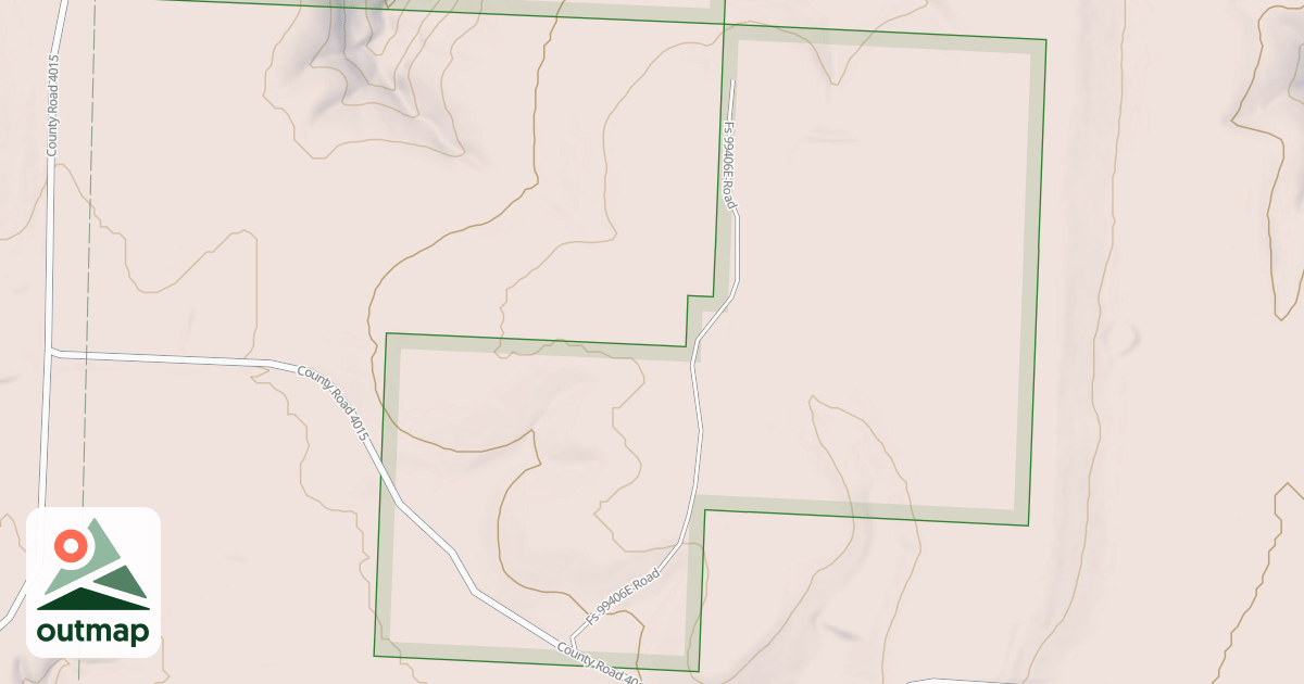 Map of USFS National Forest System Roads {C6E600B1-E1C4-49BD-9DF4-05BC0898E2EA}