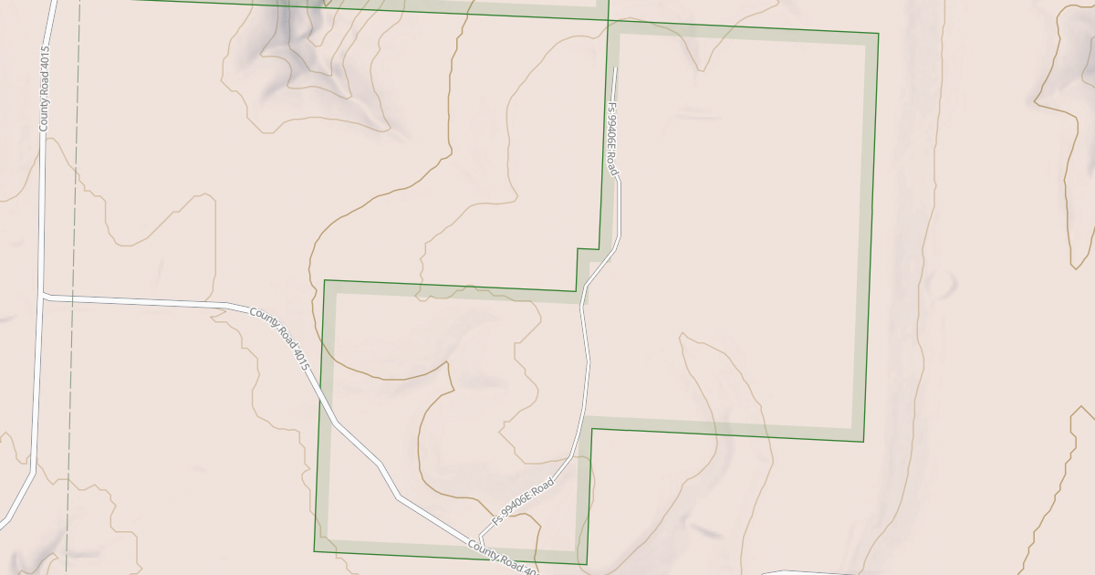 Map preview of USFS National Forest System Roads {C6E600B1-E1C4-49BD-9DF4-05BC0898E2EA}
