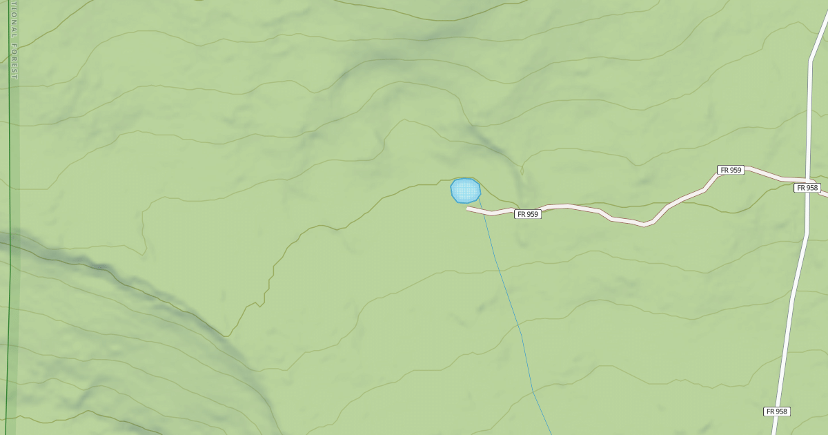 Map preview of USFS National Forest System Roads {008F4D54-D2B4-4819-8D56-B406EA1CFF27}