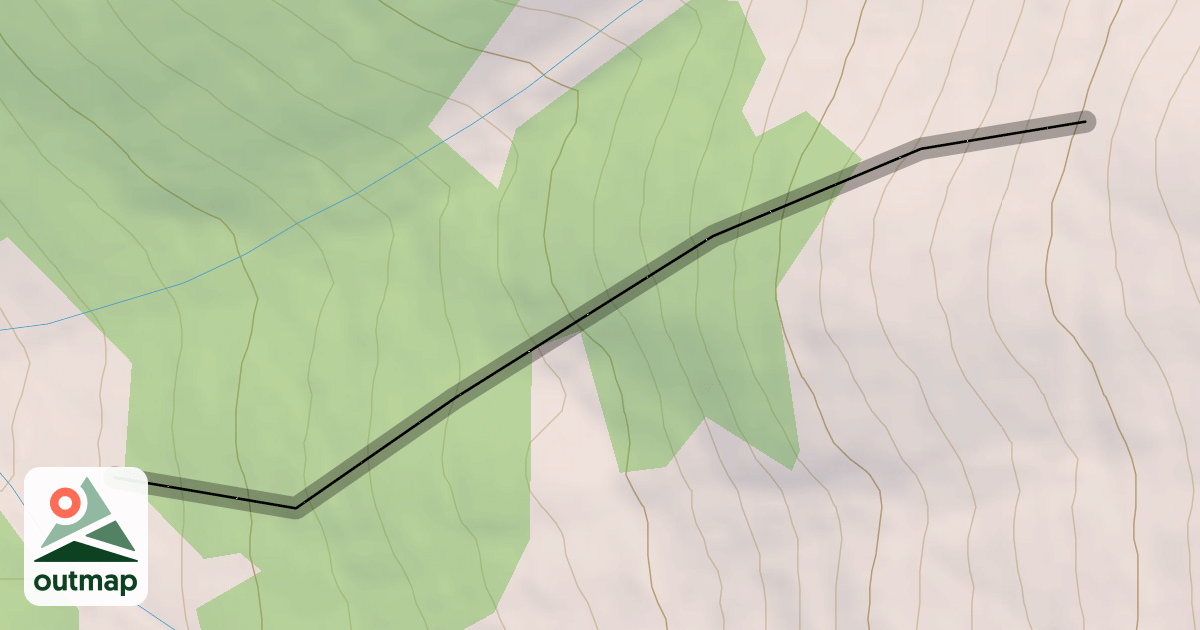 Map of Christmas Tree