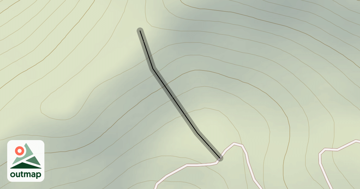 Map of Shady Lady