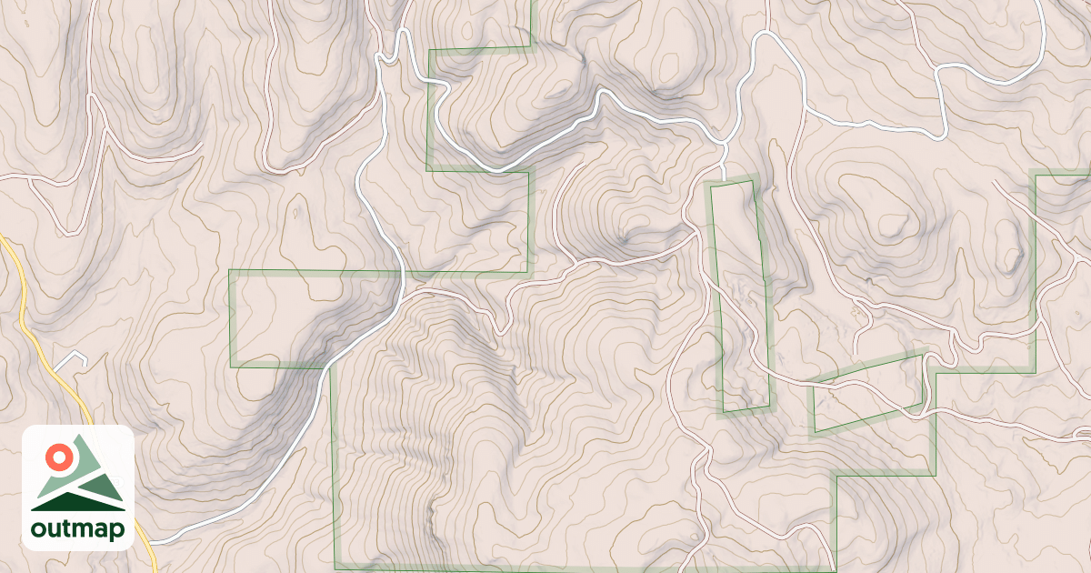 Map of USFS National Forest System Roads {AE29D172-D068-41A0-9338-D3E2F4E88315}