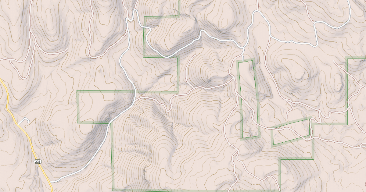Map preview of USFS National Forest System Roads {AE29D172-D068-41A0-9338-D3E2F4E88315}