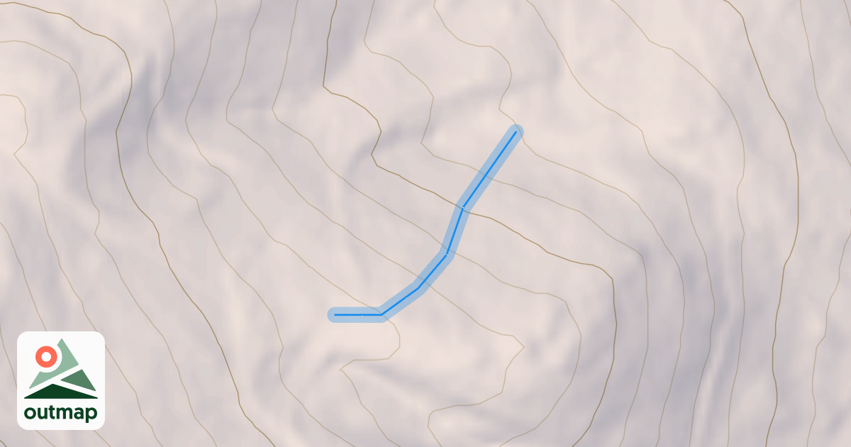 Map of Wizard