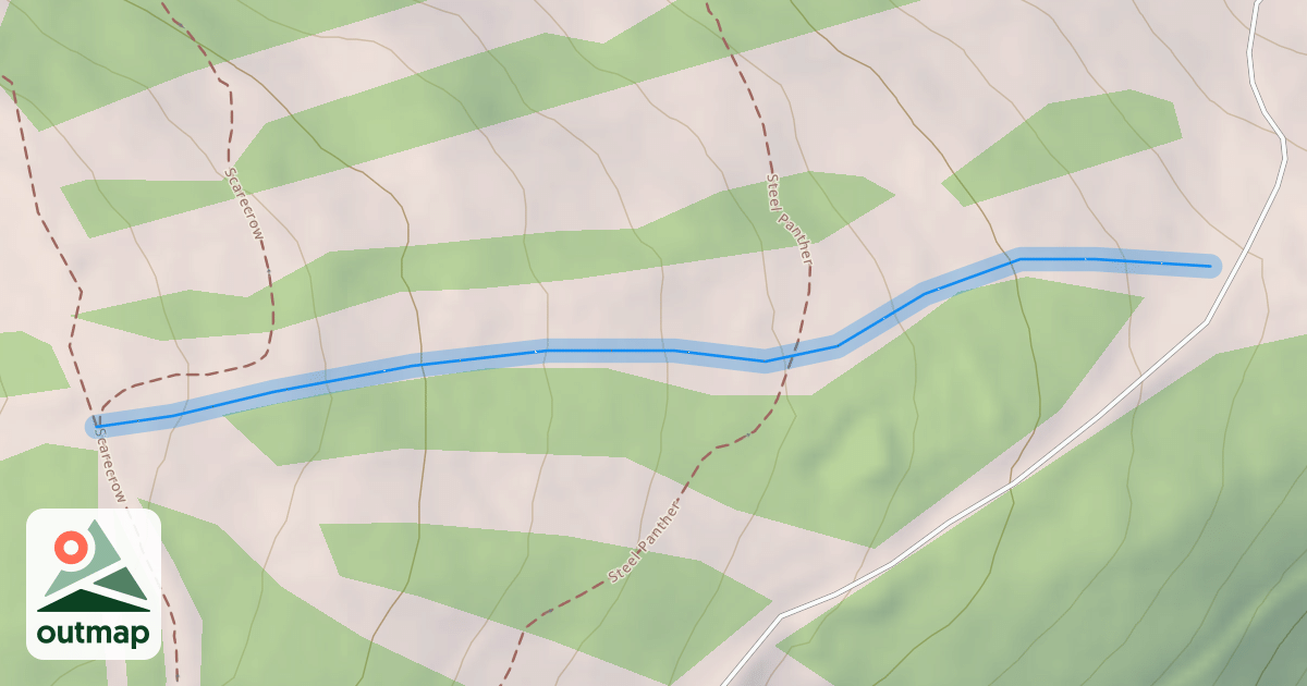 Map of Mouse Run