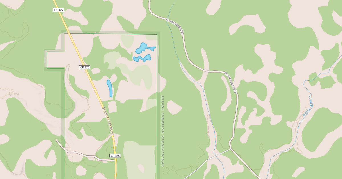 Map preview of USFS Motor Vehicle Use Map Roads {6D6FA20B-1DB5-4CDF-92BA-83DF1713F16B}