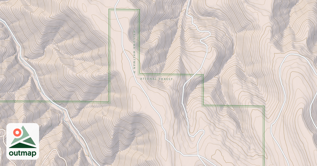 Map of USFS National Forest System Roads {06ACD8EA-D7CC-471B-BE12-C3ADF5B5B744}