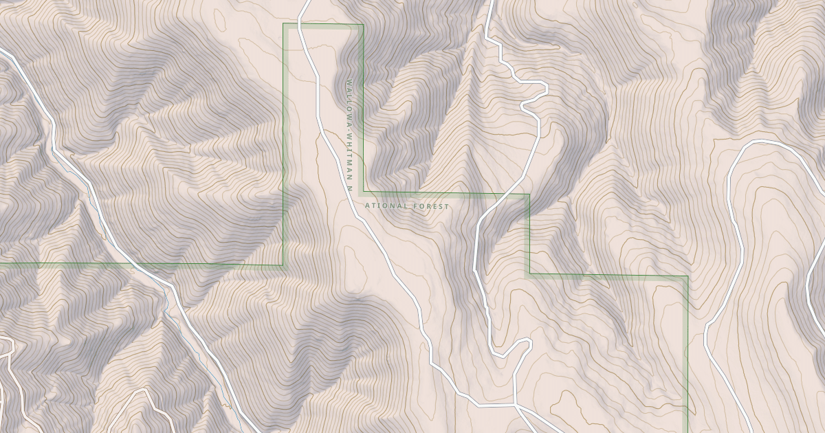 Map preview of USFS National Forest System Roads {06ACD8EA-D7CC-471B-BE12-C3ADF5B5B744}