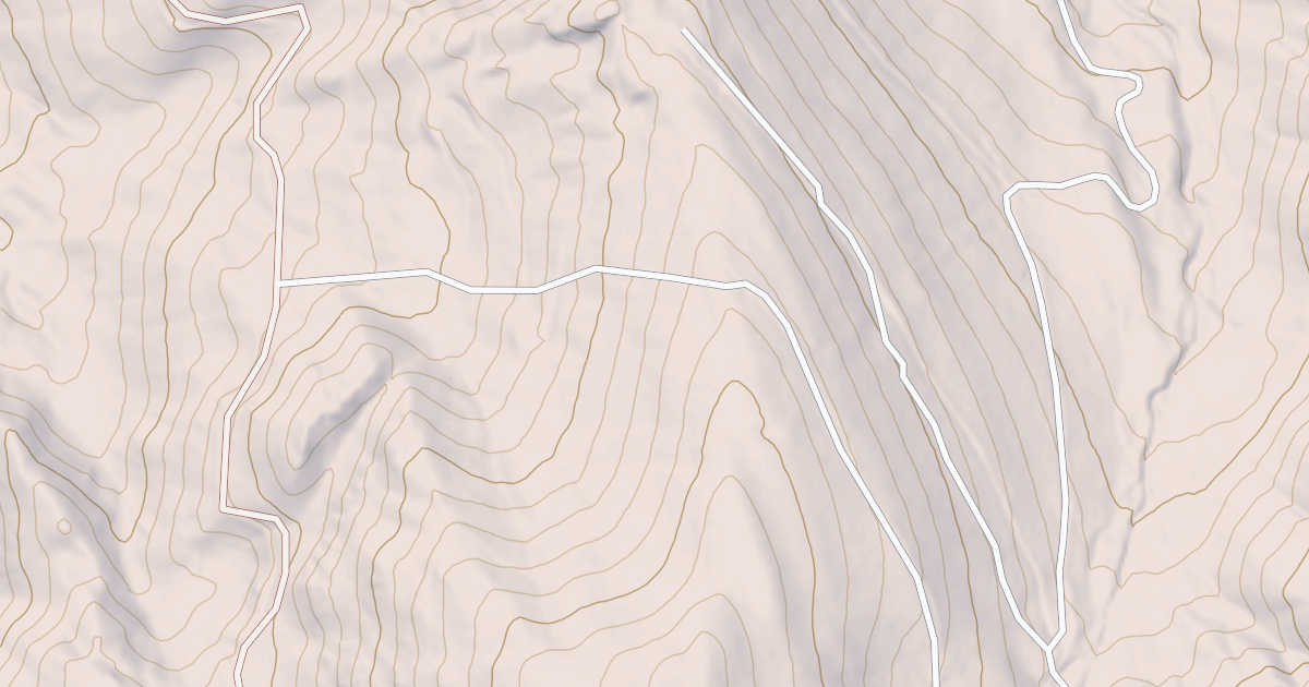 Map preview of LEECHER T.S. FY 85