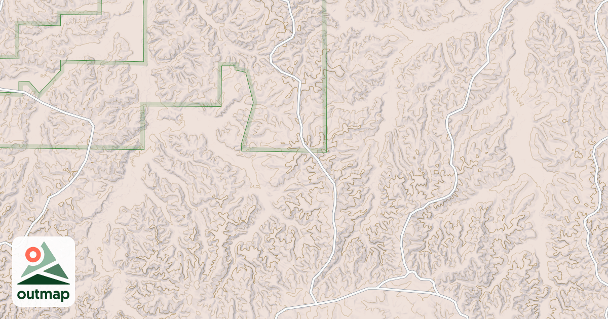 Map of USFS National Forest System Roads {E2D8BF6C-F01F-461F-8238-8338B1F1DA8C}