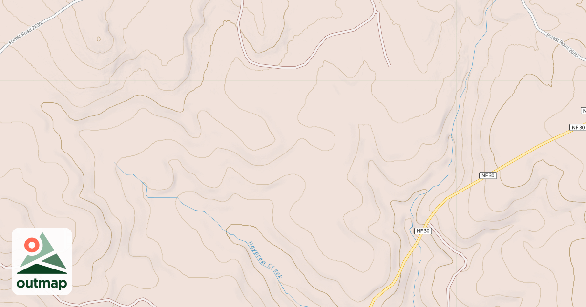 Map of USFS National Forest System Roads {B65A424F-D901-466E-A3A4-333CCF286EAD}