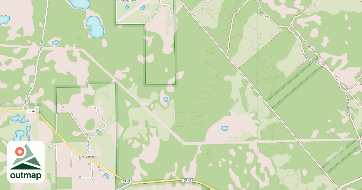Map of USFS National Forest System Roads {8C8FFA45-83D2-4FB9-BACF-A970797D57CD}