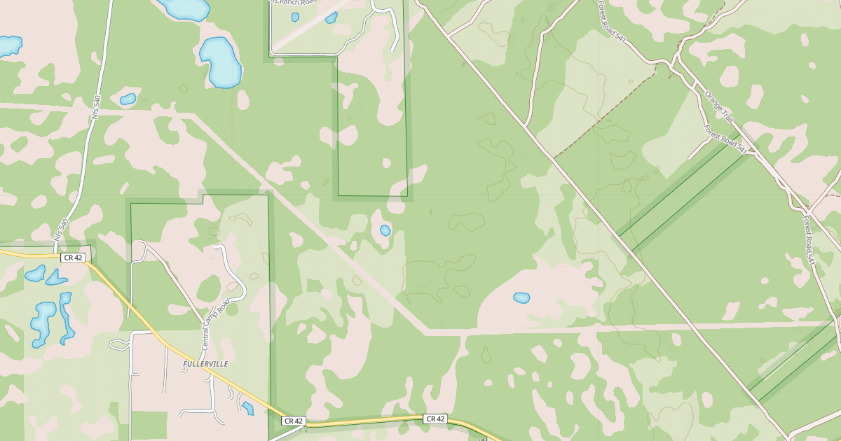 Map preview of USFS National Forest System Roads {8C8FFA45-83D2-4FB9-BACF-A970797D57CD}
