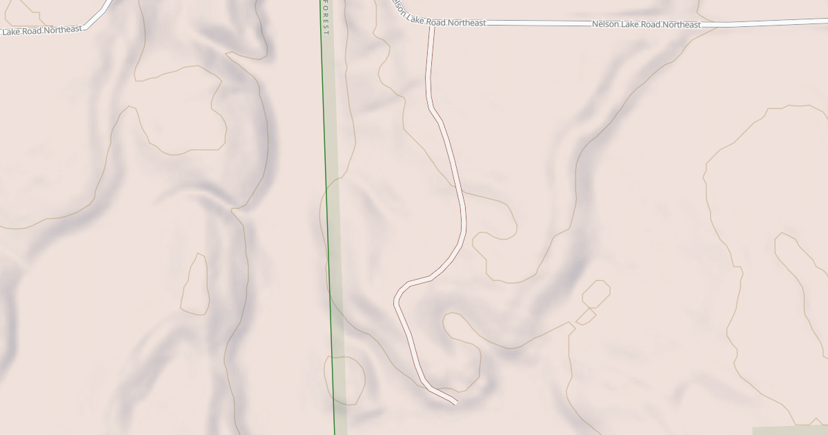 Map preview of NELSON LAKE SPUR E