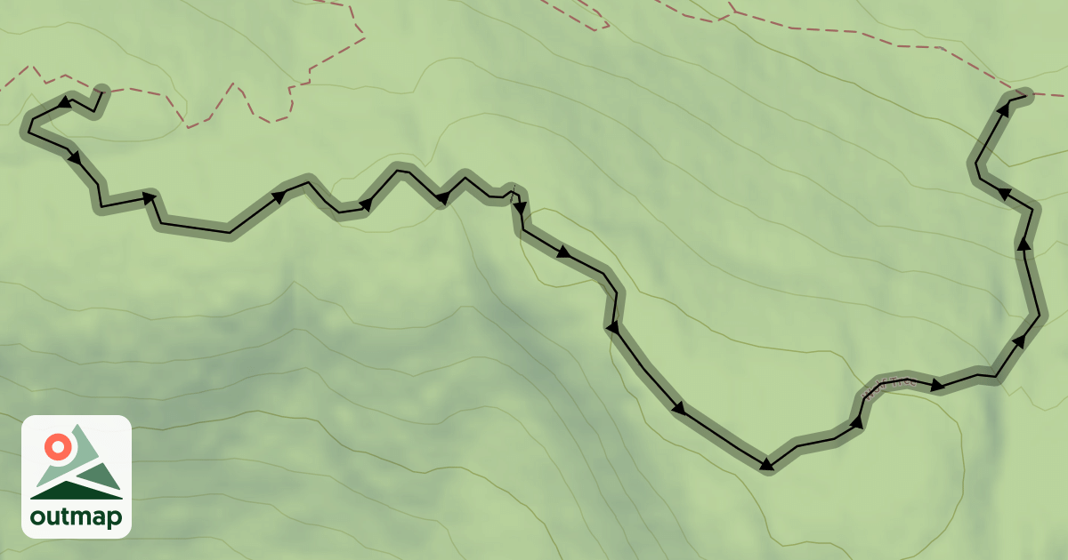 Map of Wolf Tree