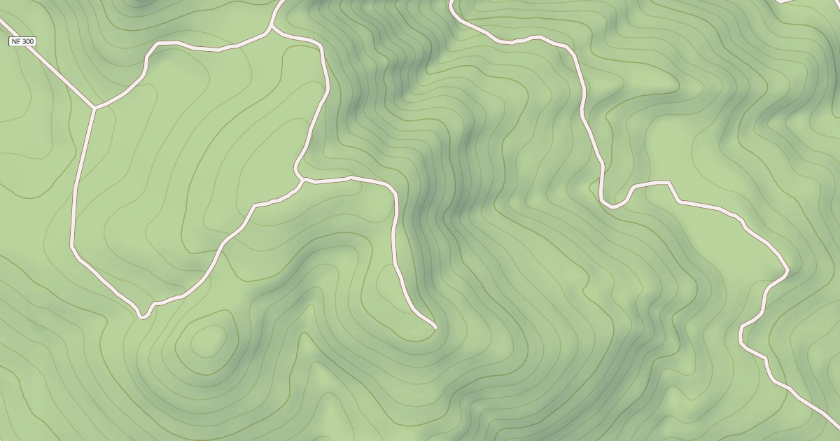 Map preview of USFS Motor Vehicle Use Map Roads {77FE458E-C092-40DA-BE40-BB2996F29330}