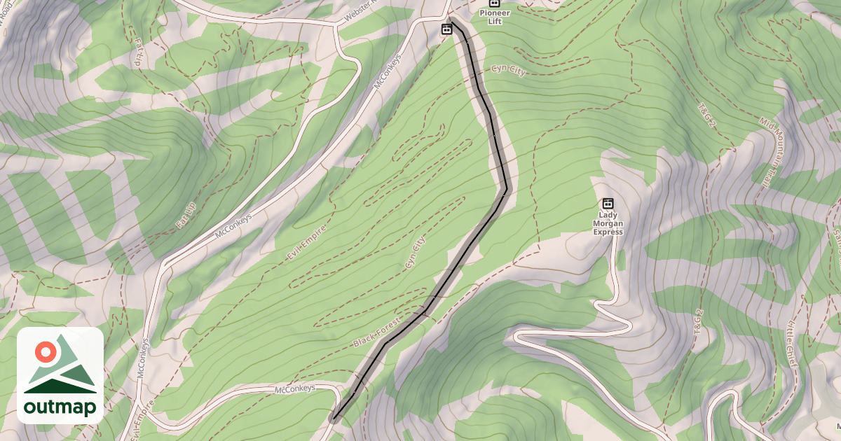 Map of Tycoon