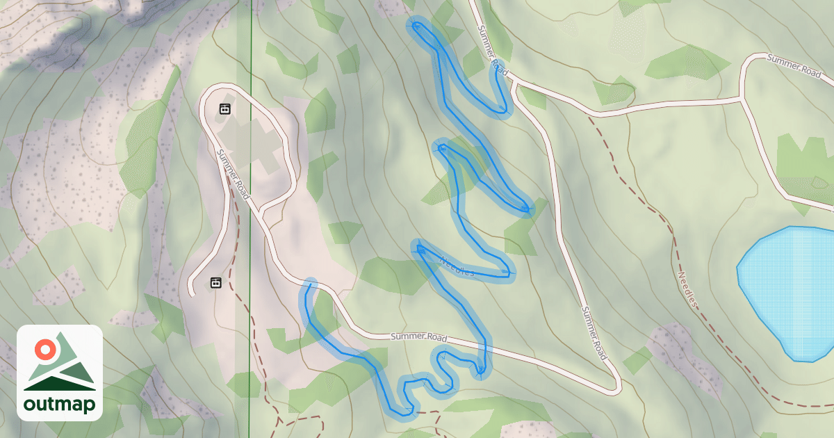Map of Needles