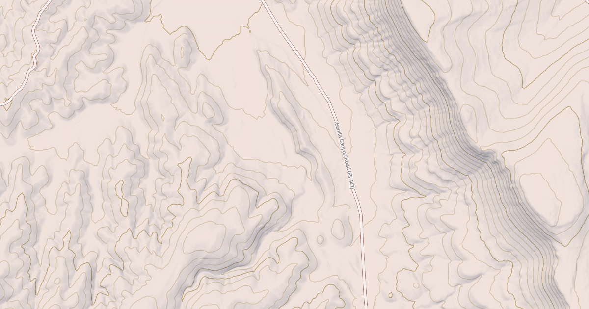Map preview of USFS National Forest System Roads {571E0678-4B9E-49C9-9DEA-28812972B715}