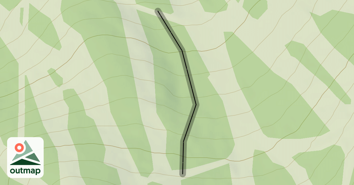 Map of T-Bird Glade