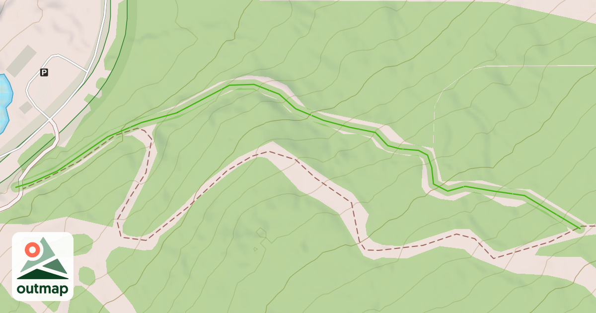 Map of Stray-Cat