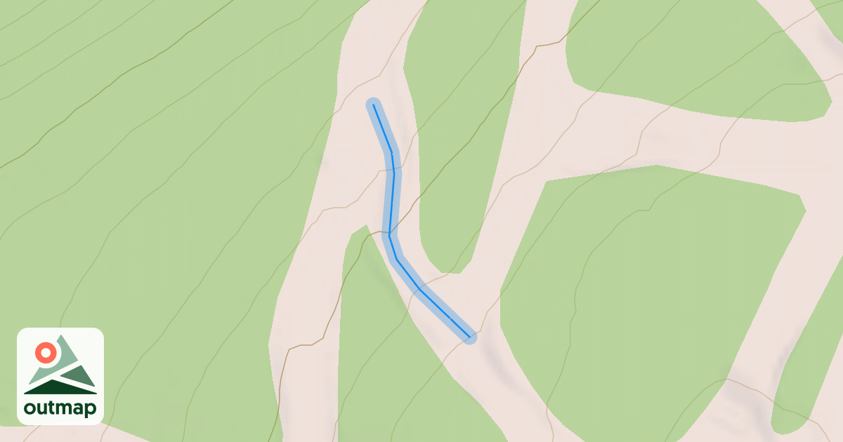 Map of Longview