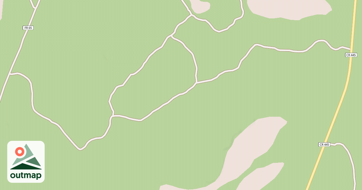 Map of USFS National Forest System Roads {74D0D391-6D9F-4653-A5CE-958E7C1C46E6}