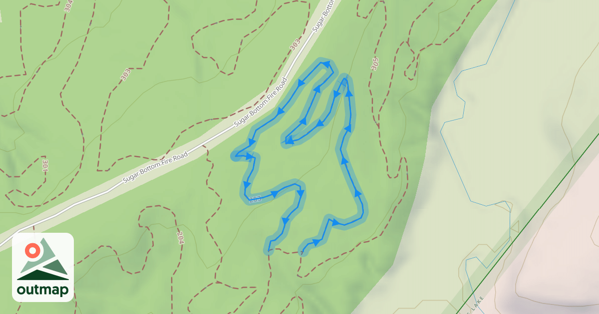 Map of 203