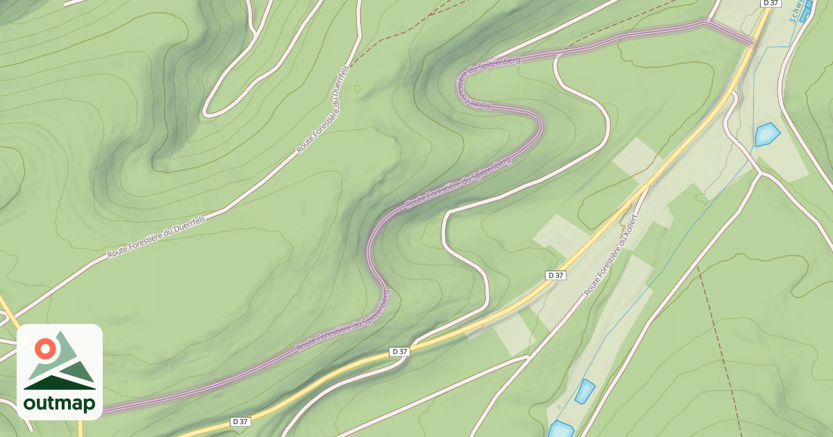 Map of Route Forestière du Spitzenberg