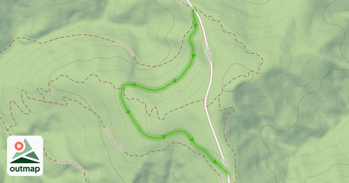 Map of Magic Carpet