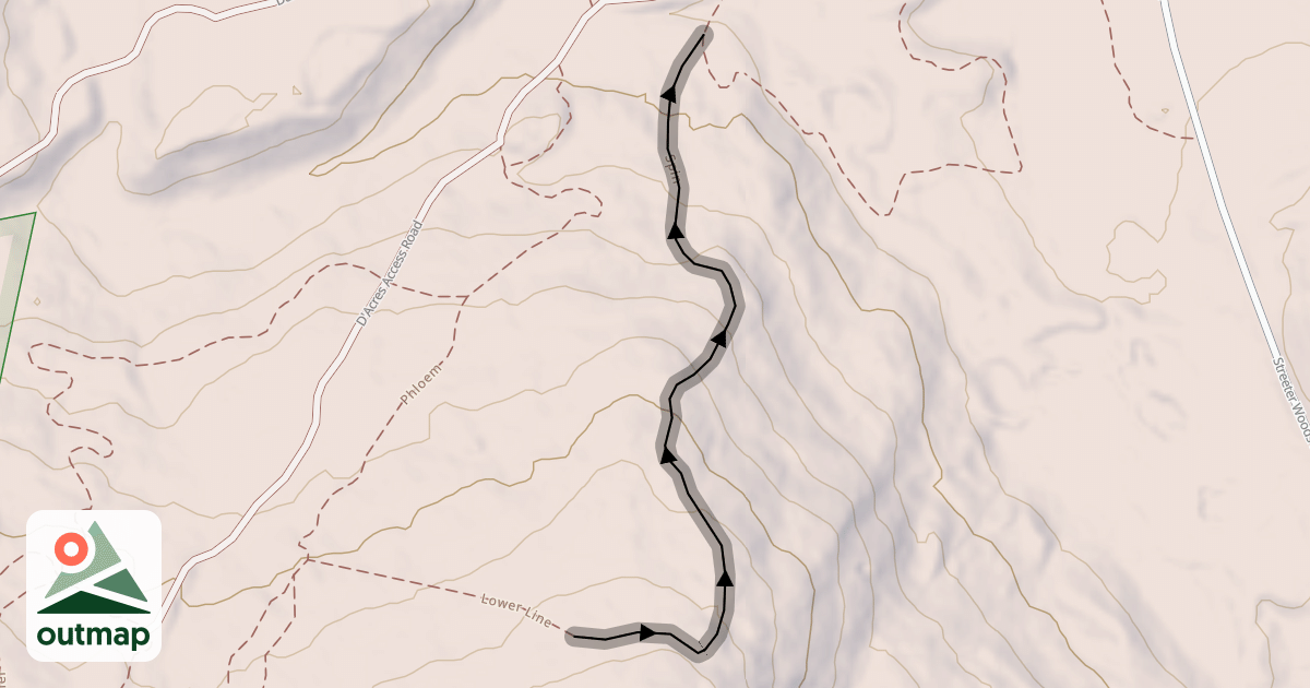 Map of Spin