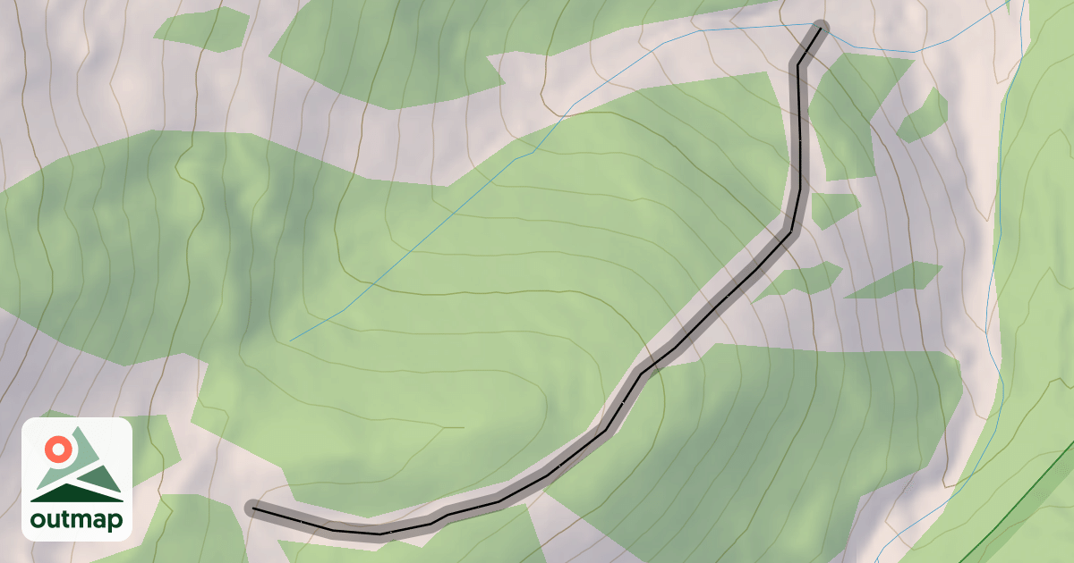 Map of Trinity
