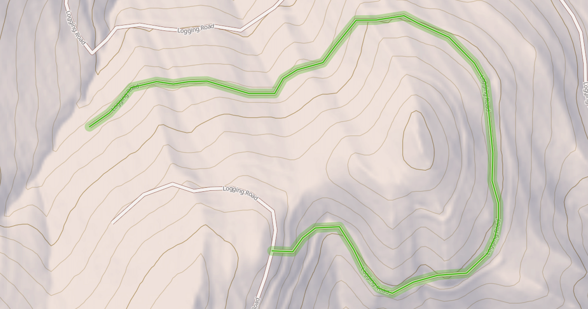Map preview of Logging Road