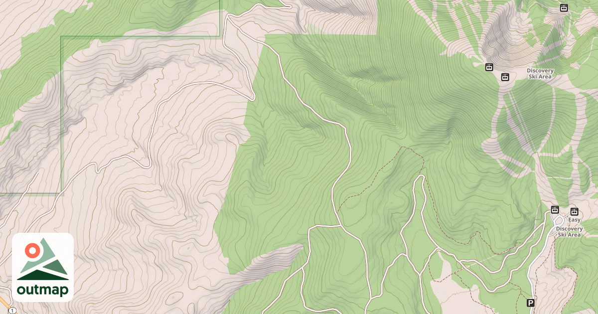 Map of USFS National Forest System Roads {68F9F7C0-2A4B-47F4-A237-CDA128E96243}