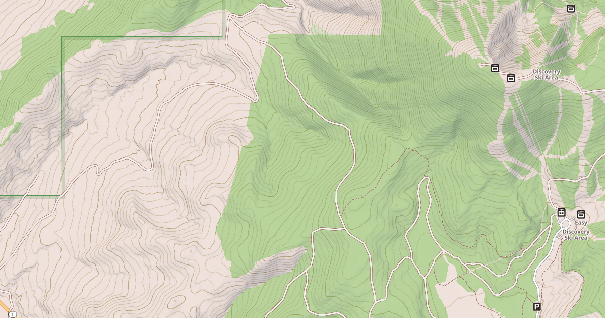 Map preview of USFS National Forest System Roads {68F9F7C0-2A4B-47F4-A237-CDA128E96243}