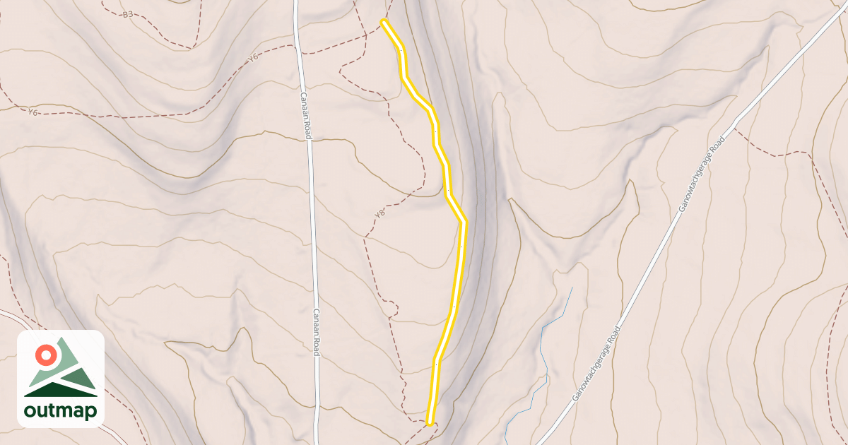 Map of Y7